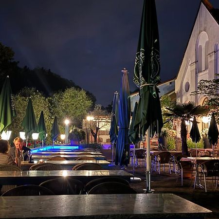 Hotel Muehleinsel Kenzingen Exterior foto
